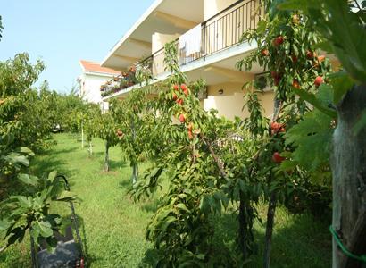 Bed And Breakfast Cirelli Scalea Zewnętrze zdjęcie